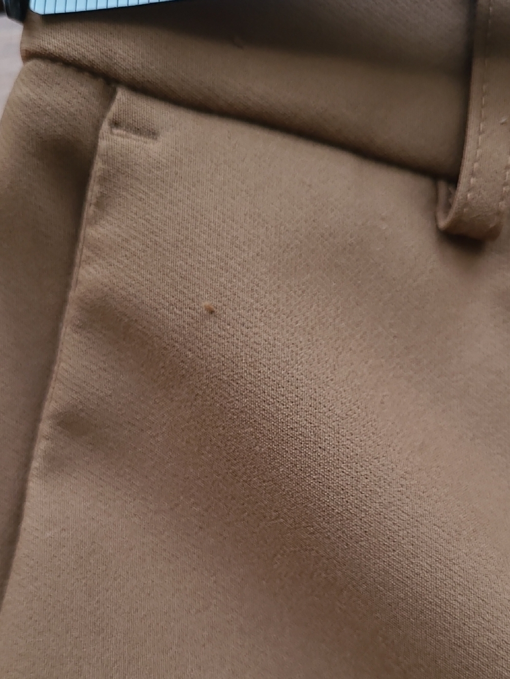 Brown Rachel Zoe Dress Pants - Picture 6 of 11